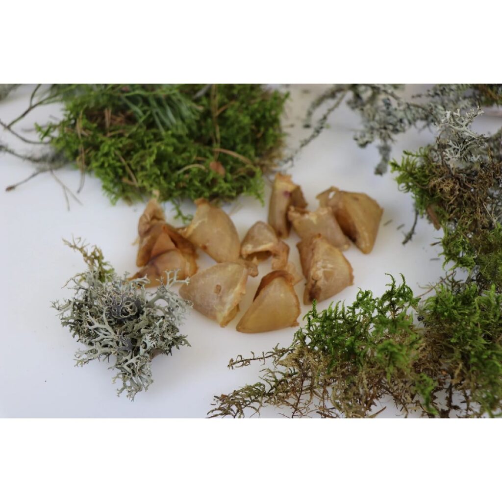 Ottomar Kuivatatud seasõrg koertele 60g